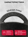 Садж чугунный DavrMetall 35 см садж35см