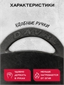 Садж чугунный 30 см (плоское дно) садж30см(плоск)
